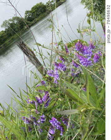 謎の棒 謎の棒 : 曽山一寿のそやまんがぶろぐ Powered by ライブドアブログ