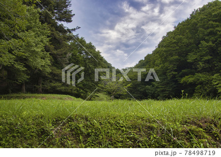静かで美しい多峯主山への登山道　埼玉県飯能市 78498719