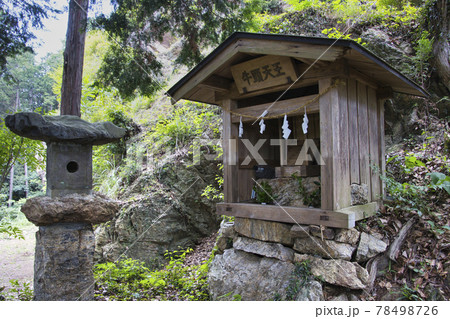 牛頭天王　多峯主山への登山道　埼玉県飯能市 78498726