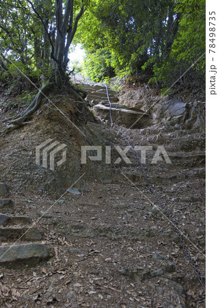 子供専用の鎖場 天覧山から多峯主山への登山道 埼玉県飯能市 子供専用の鎖場 天覧山から多峯主山への登山道 埼玉県飯能市 78498735