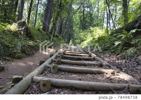 延々と続く見返り坂の階段 天覧山から多峯主山への登山道 埼玉県飯能市 延々と続く見返り坂の階段 天覧山から多峯主山への登山道 埼玉県飯能市 78498738