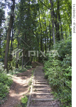 延々と続く見返り坂の階段 天覧山から多峯主山への登山道 埼玉県飯能市 延々と続く見返り坂の階段 天覧山から多峯主山への登山道 埼玉県飯能市 78498741