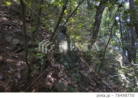 十六羅漢像　天覧山への登山道　埼玉県飯能市 78498750