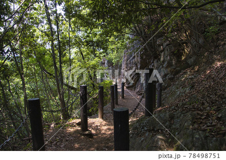 天覧山への登山道　埼玉県飯能市 78498751