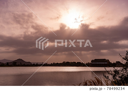 鳥取県米子市　春の米子水鳥公園の夕景 78499234