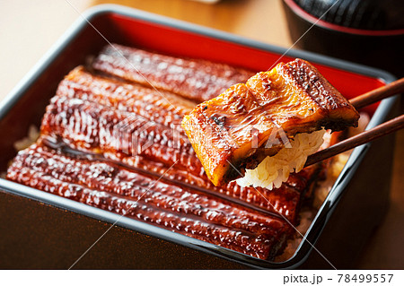 うなぎ　うな重　ウナギ　鰻重　鰻 78499557