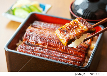 うなぎ うな重 ウナギ 鰻重 鰻 うなぎ うな重 ウナギ 鰻重 鰻 78499560