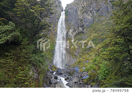 ニュージーランド　デビルズ・パンチボウル滝 78499798