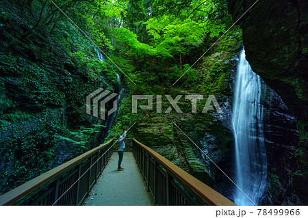 蜻蛉の滝 78499966