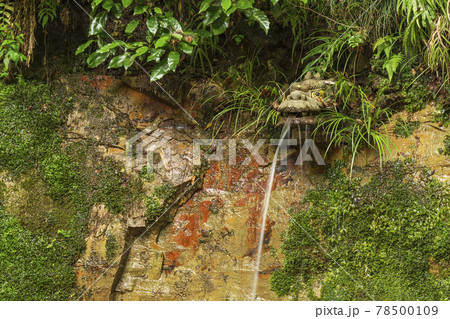 等々力渓谷の「不動の滝」 等々力渓谷の「不動の滝」 78500109