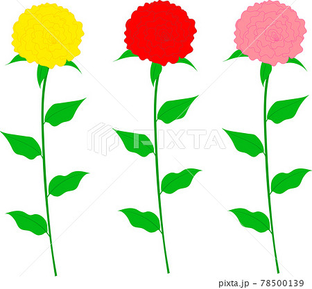 三色のバラの花のイラストアイコンセットのイラスト素材