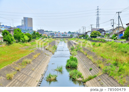 下の川橋／大栗川より下流方面を望む(東京都八王子市)【2021.6】 78500479