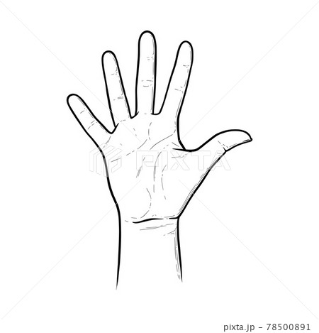 Five raised fingers as a greeting to say Hi. Highfive gesture axpressinf approval or salutation. Vector illustration isolated in white background Five raised fingers as a greeting to say Hi. Highfive gesture axpressinf approval or salutation. Vector illustration isolated in white background 78500891