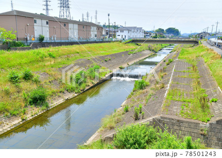 堰場橋／大栗川より上流方面を望む(東京都八王子市)【2021.6】 78501243