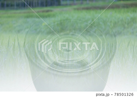 日本酒　田んぼ　イメージ 78501326