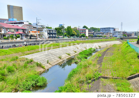 堰場橋／大栗川より下流方面を望む(東京都八王子市)【2021.6】 78501327