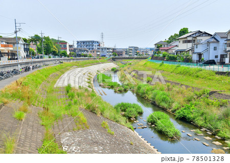 堰場橋／大栗川より下流方面を望む(東京都八王子市)【2021.6】 78501328