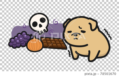 Foods that are dangerous for dogs to eat 78501670