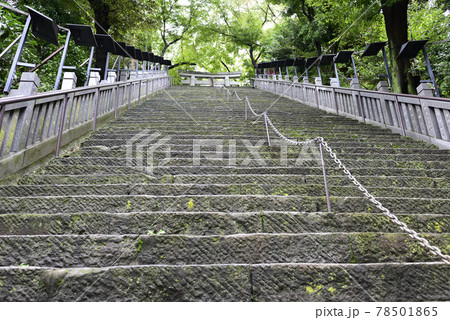 愛宕神社 出世の階段(男坂) 愛宕神社 出世の階段(男坂) 78501865