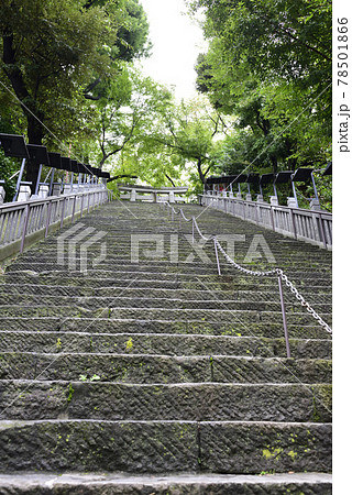 愛宕神社 出世の階段(男坂) 愛宕神社 出世の階段(男坂) 78501866