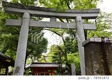 愛宕神社 一の鳥居 愛宕神社 一の鳥居 78501872