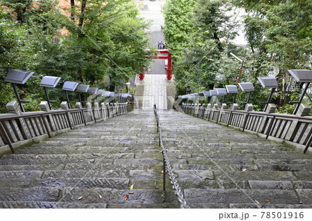 愛宕神社 出世の階段(男坂) 愛宕神社 出世の階段(男坂) 78501916