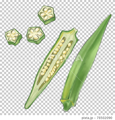 Okra set 78502090