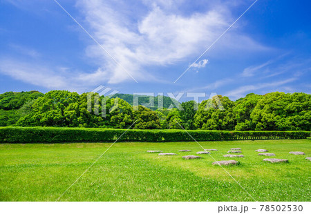 青空と新緑 大宰府政庁跡 青空と新緑 大宰府政庁跡 78502530