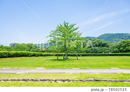 草原の木陰で休む女性 草原の木陰で休む女性 78502535