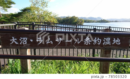 大沼・ラムサール条約湿地　看板 78503320