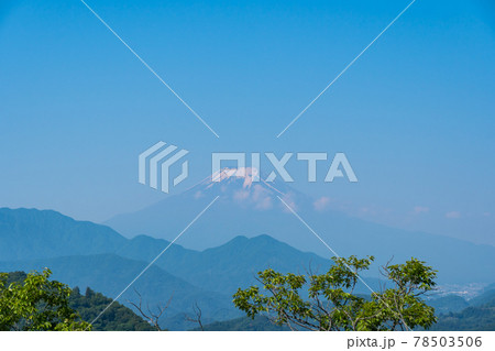 菊花山の山頂から見た富士山（山梨県大月市） 78503506