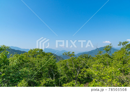 菊花山の山頂から見た富士山（山梨県大月市） 78503508