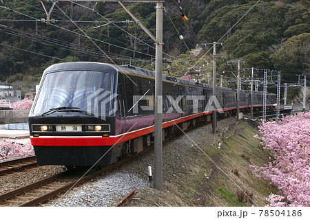 伊豆急リゾート21(黒船電車) 伊豆急リゾート21(黒船電車) 78504186