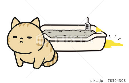 便器からはみ出しておしっこをしてしまった仔猫 78504308
