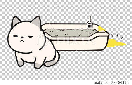 A kitten that has peeed out of the toilet bowl A kitten that has peeed out of the toilet bowl 78504311