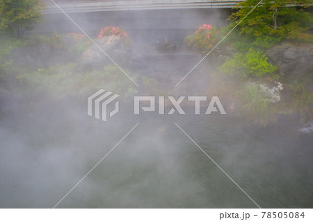 箕面勝尾寺 78505084