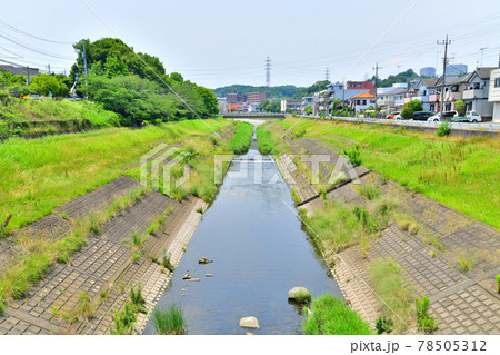 望地橋／大栗川より上流方面を望む(東京都八王子市)【2021.6】 78505312