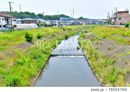 横倉橋/大栗川より上流方面を望む(東京都八王子市)【2021.6】 横倉橋/大栗川より上流方面を望む(東京都八王子市)【2021.6】 78505769