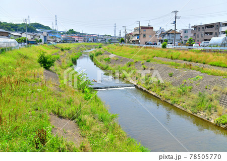 横倉橋/大栗川より上流方面を望む(東京都八王子市)【2021.6】 横倉橋/大栗川より上流方面を望む(東京都八王子市)【2021.6】 78505770