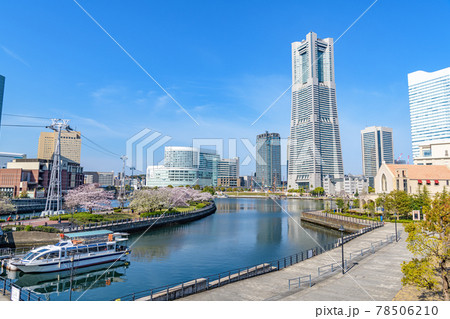 Cherry Tree Of Minato Mirai Yokohama Shi Stock Photo