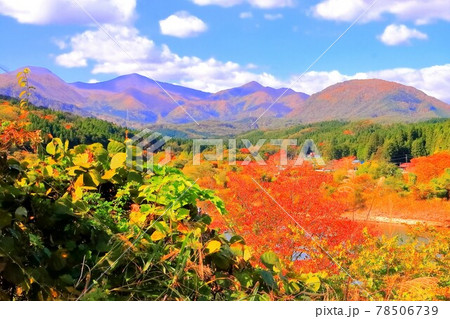 紅葉の七ツ森周辺 紅葉の七ツ森周辺 78506739