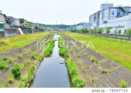久保下橋／大栗川より上流方面を望む(東京都多摩市)【2021.6】 78507710