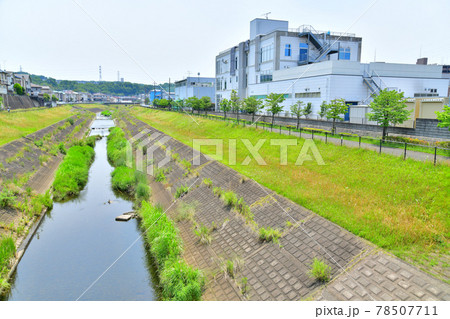 久保下橋／大栗川より上流方面を望む(東京都多摩市)【2021.6】 78507711