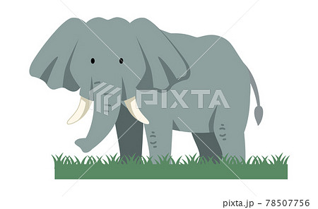 象と草のイラスト素材のイラスト素材