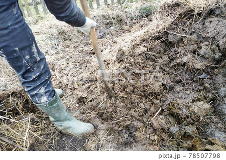 A woman and a man near the barn for cows choose manure from a pit for fertilizing the soil in the garden, the action takes place in the village. 78507798