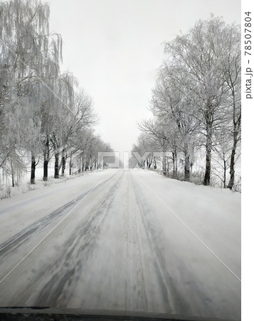 Winter road running between the frozen trees. Winter road running between the frozen trees. 78507804