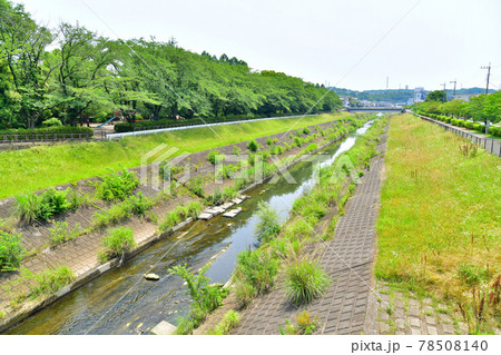 中和田橋／大栗川より上流方面を望む(東京都多摩市)【2021.6】 78508140