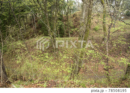 大島城跡　三の丸の二重堀 78508195