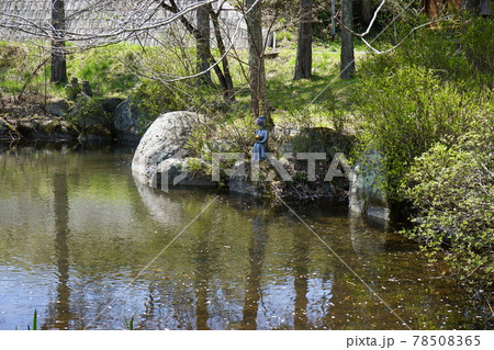 春の遠野 太郎淵 78508365
