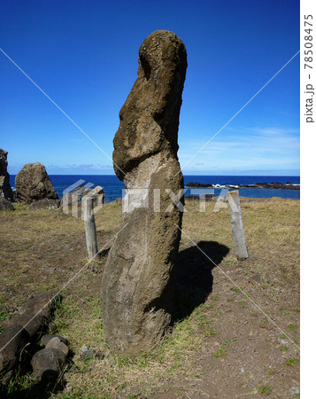 チリ・イースター島にて上半身胴体まで彫刻されたモアイ像の横向き写真 チリ・イースター島にて上半身胴体まで彫刻されたモアイ像の横向き写真 78508475